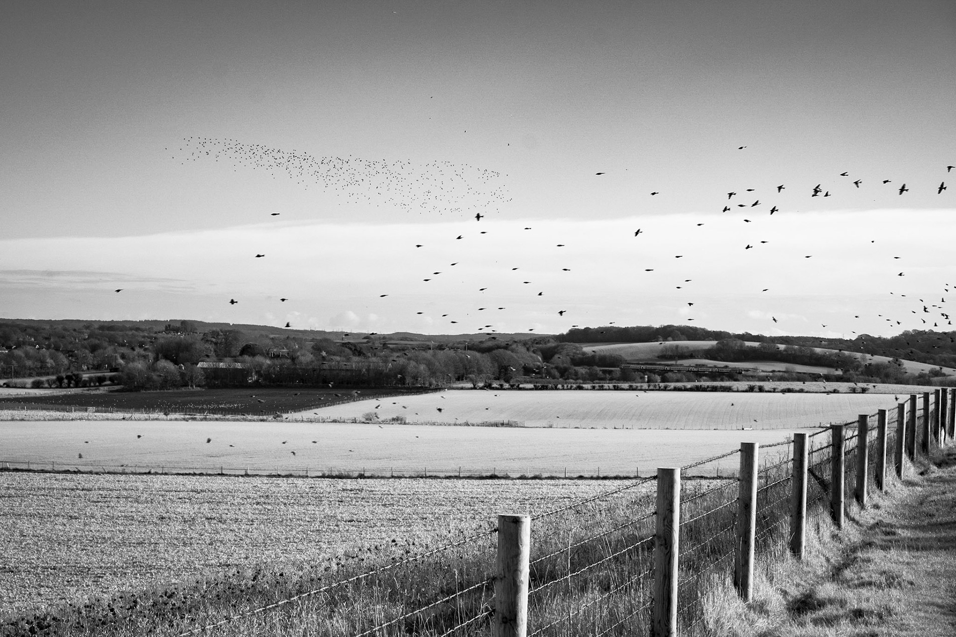 maiden Castle 15