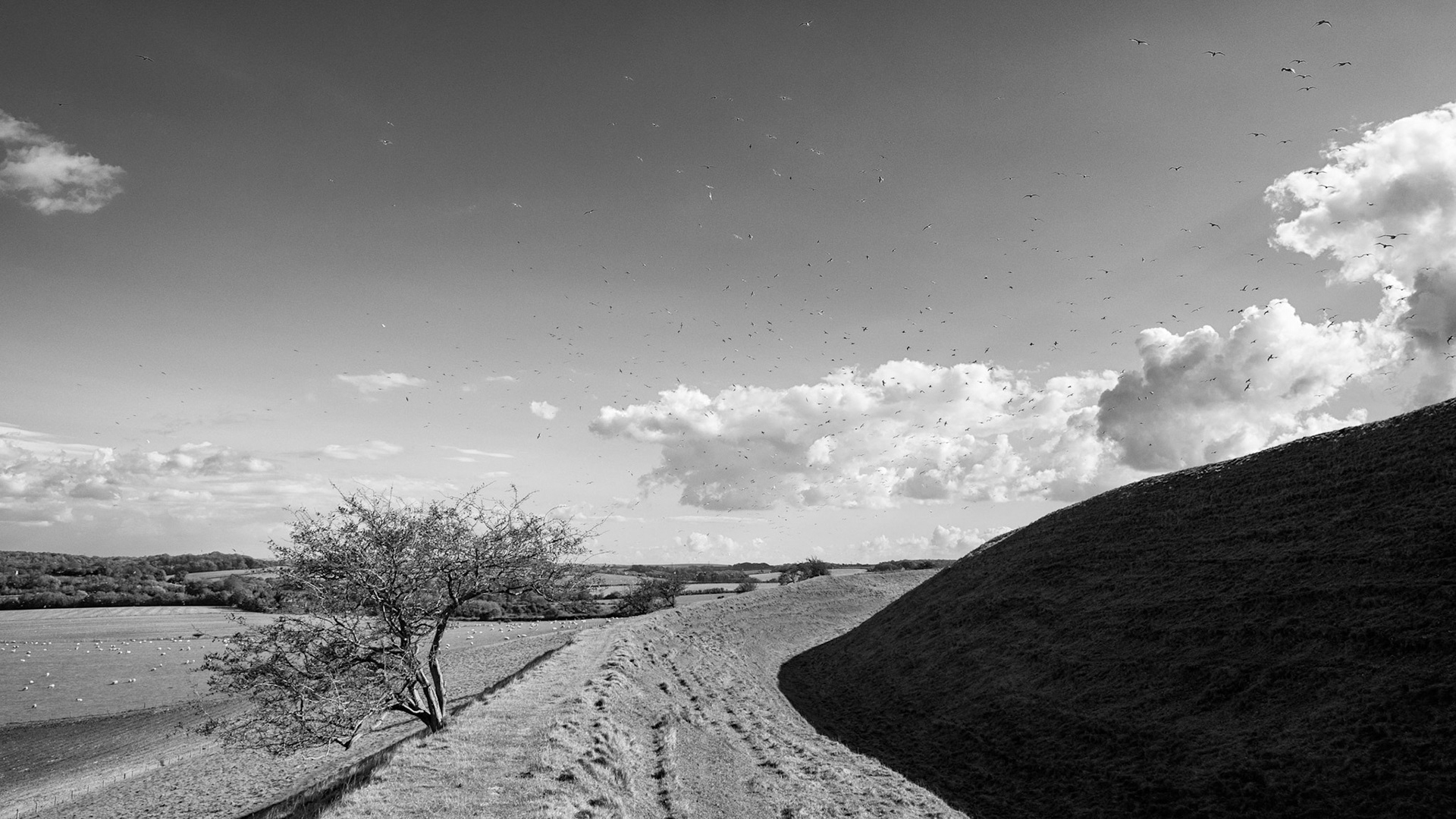 Maiden Castle 1