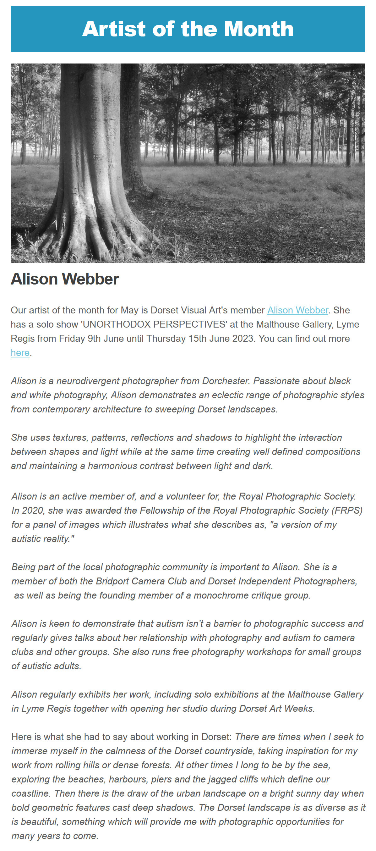 Copy of an article from Dorset Visual Arts