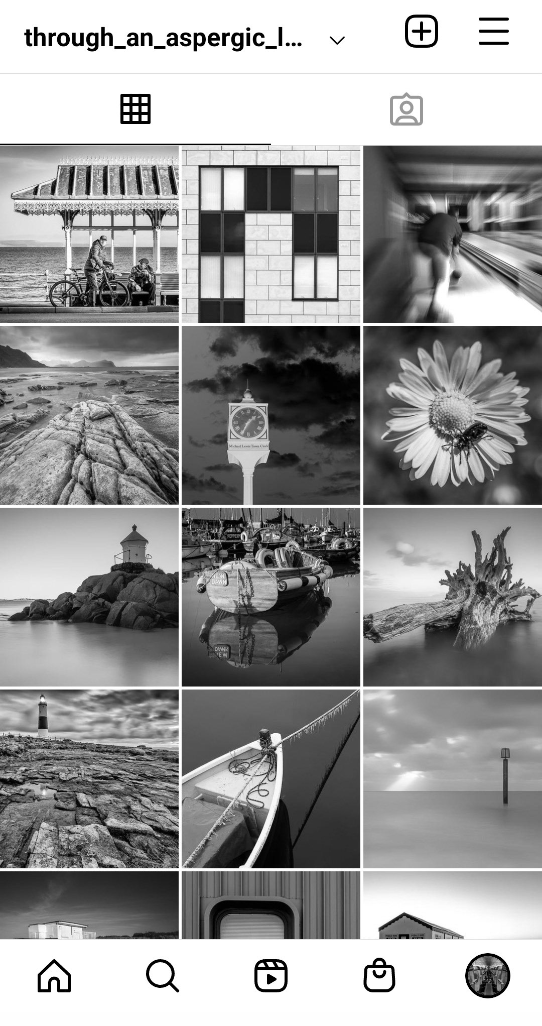 Sreenshot of Instagram page for @through_an_aspergic_lens