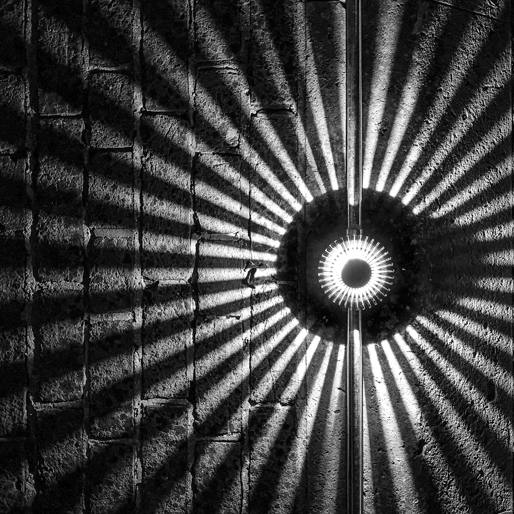 Nocturnal Rays