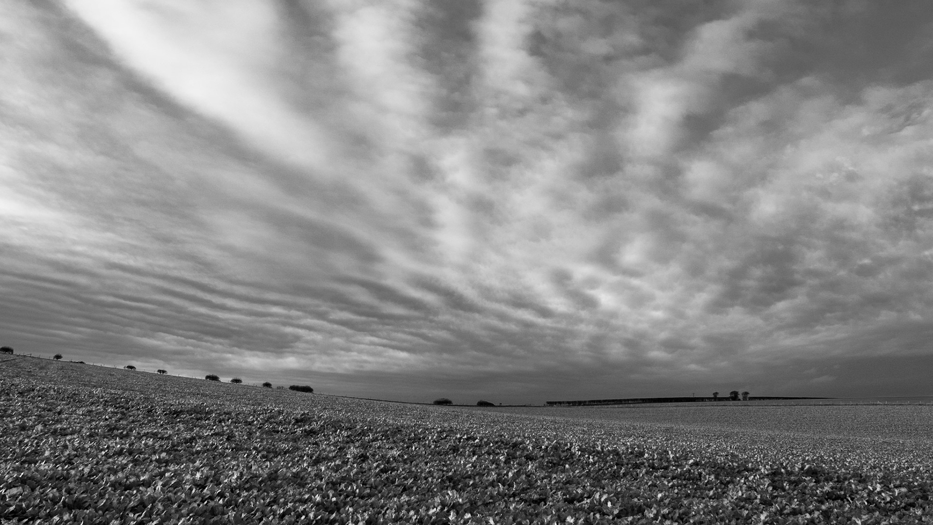 maiden Castle 23