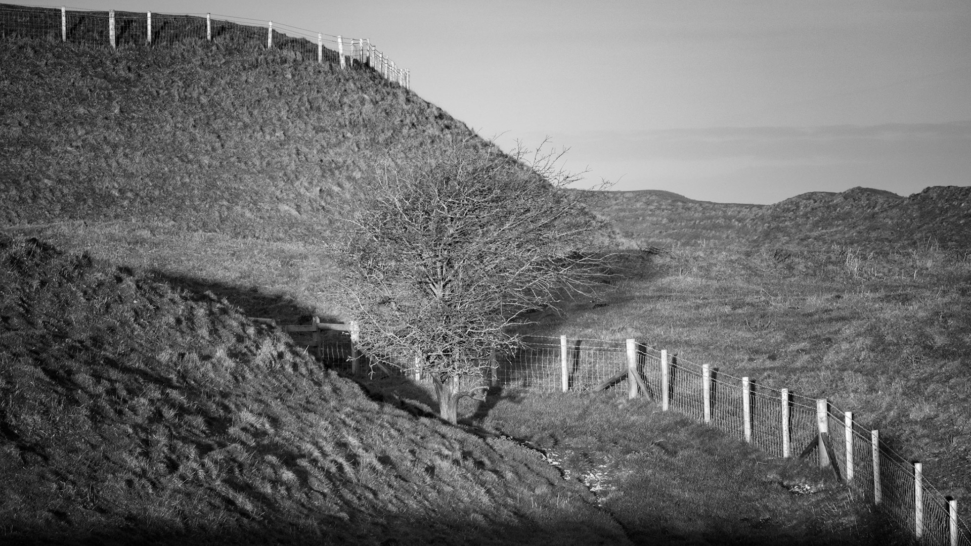 maiden Castle 26