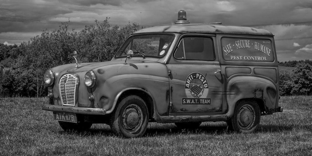 Austin A30-A35 Rally 2012 (Lichfield)