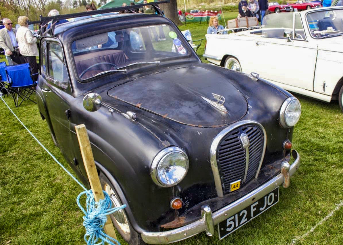 Percy at Catton Hall 2013