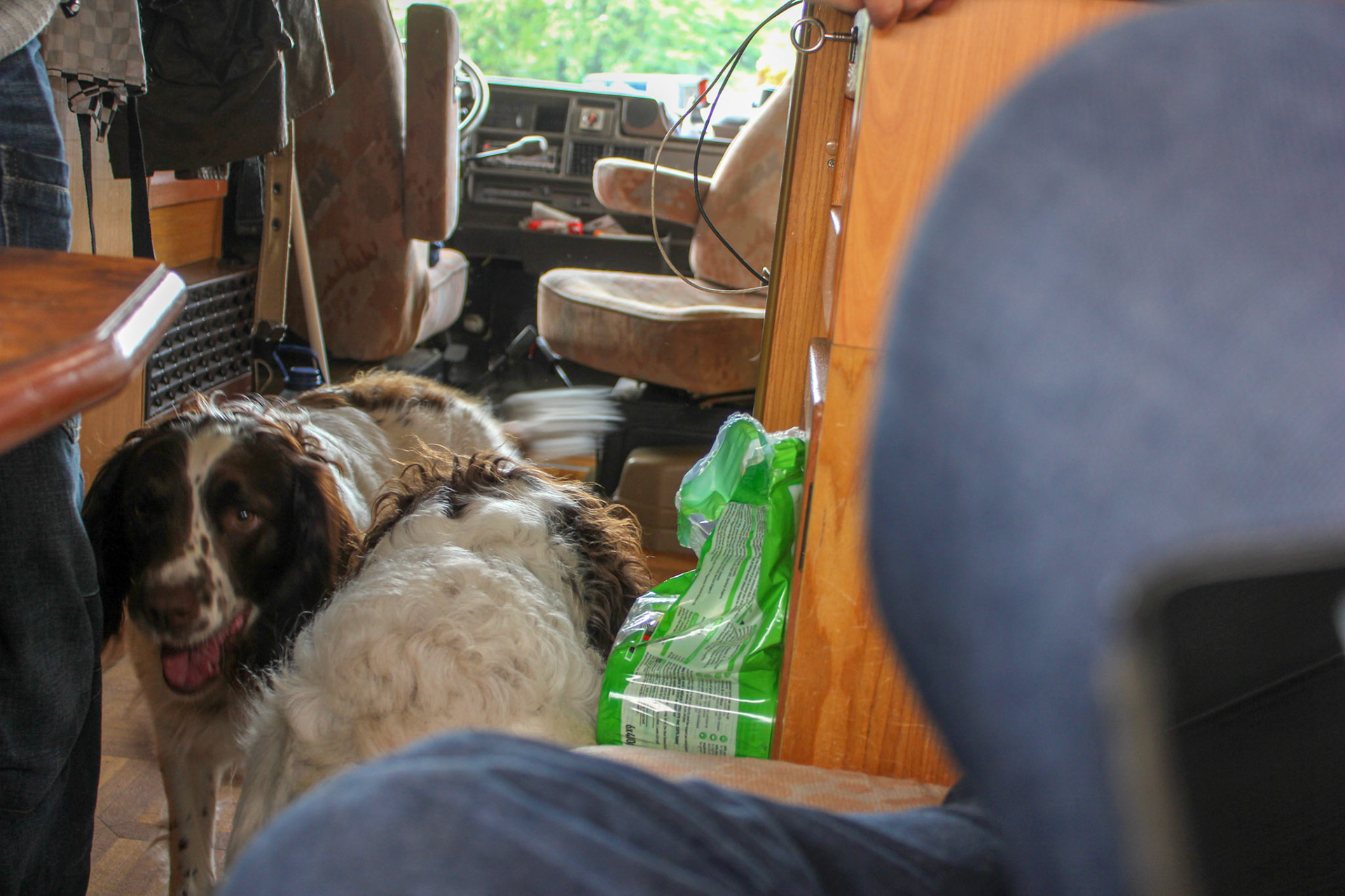 Austin A30-A35 Rally 2015 (Wortley)