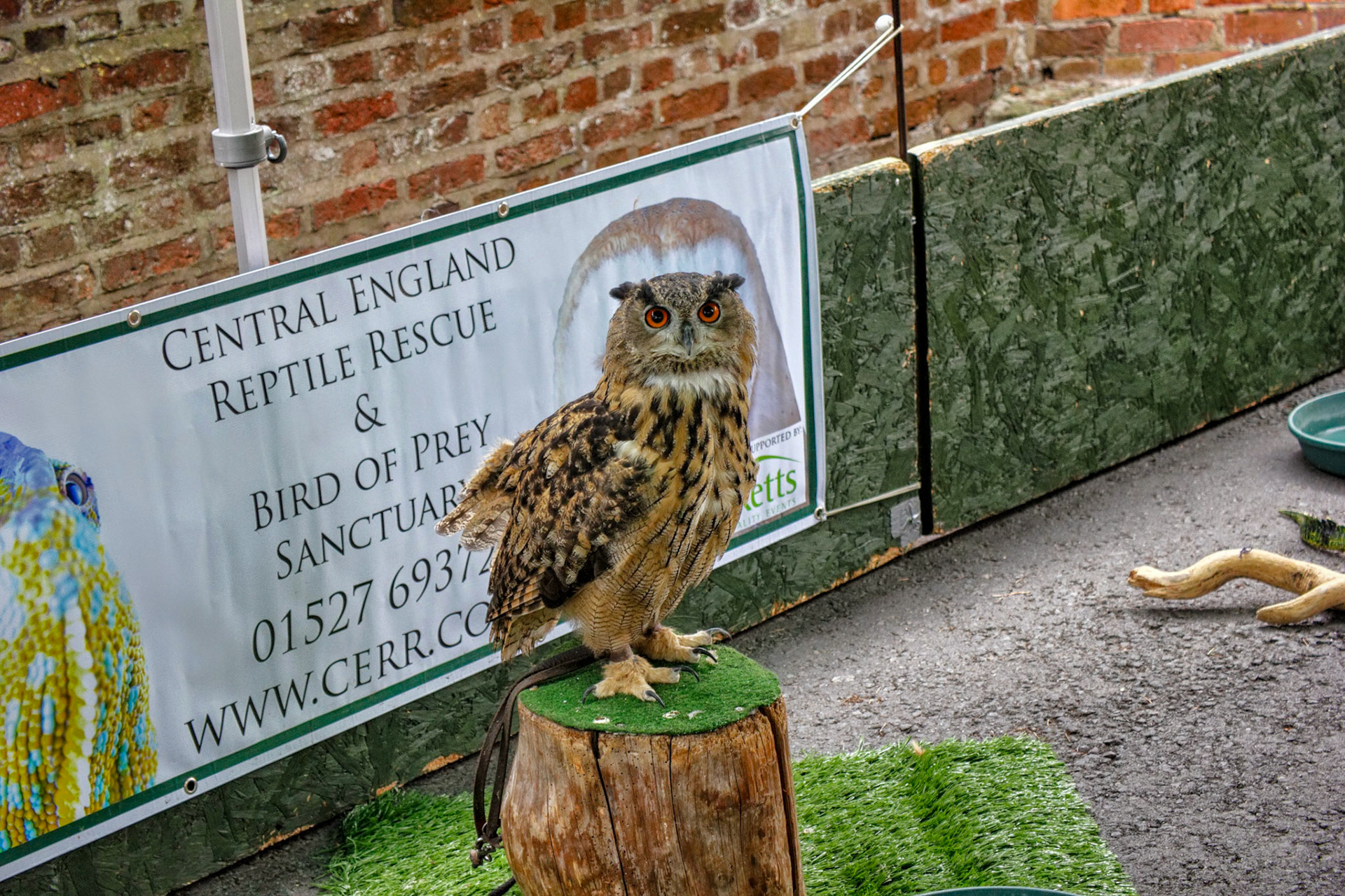 Pershore Plum Festival