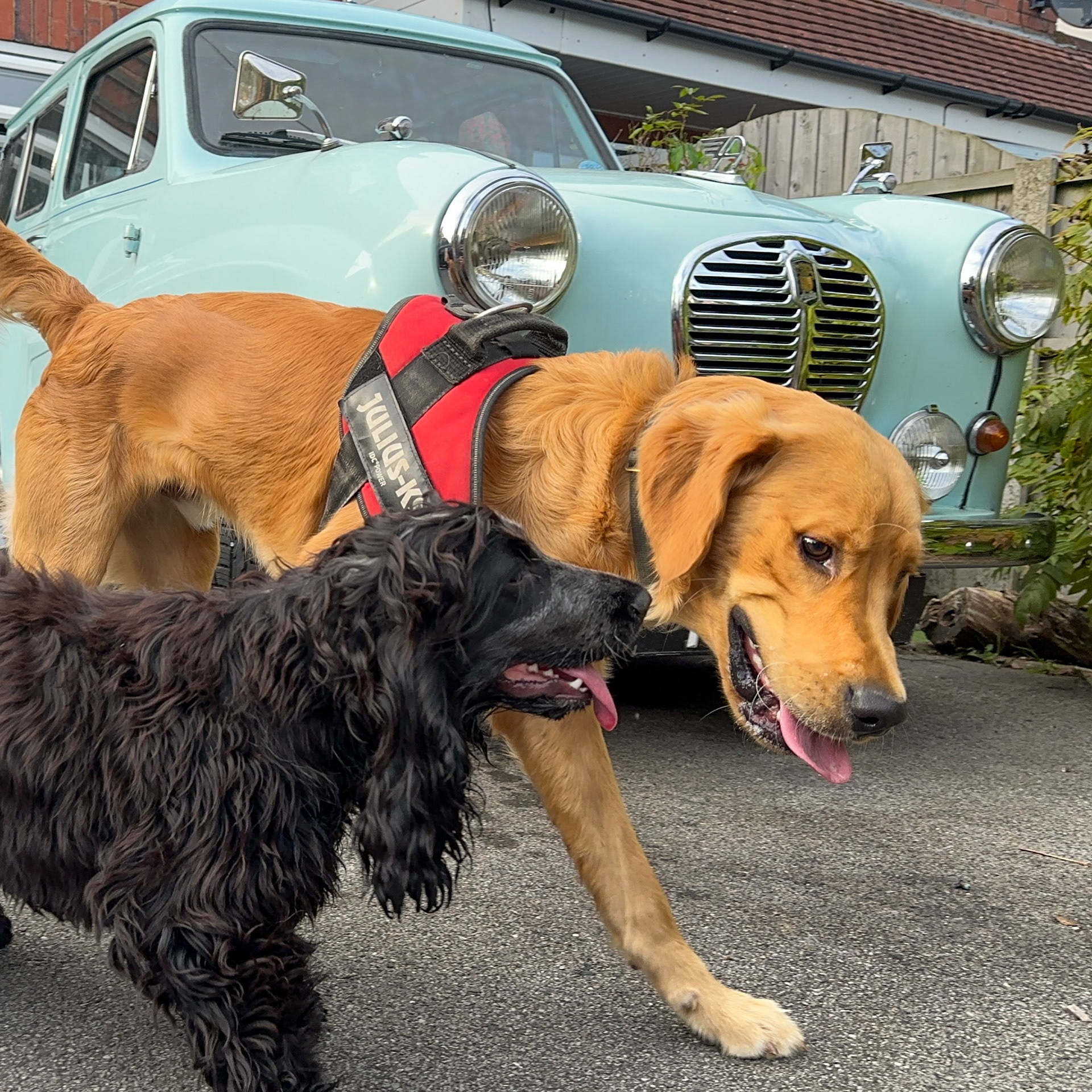 Finlay at 46 weeks old