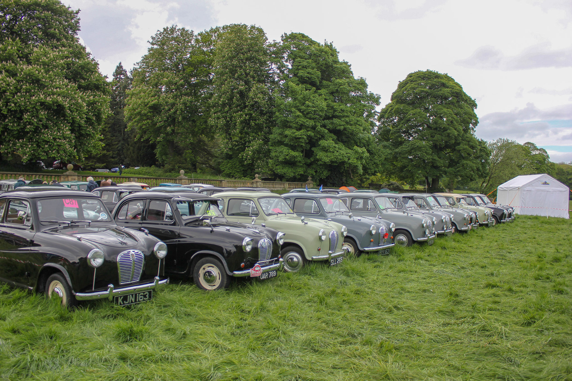 Austin A30-A35 Rally 2015 (Wortley)