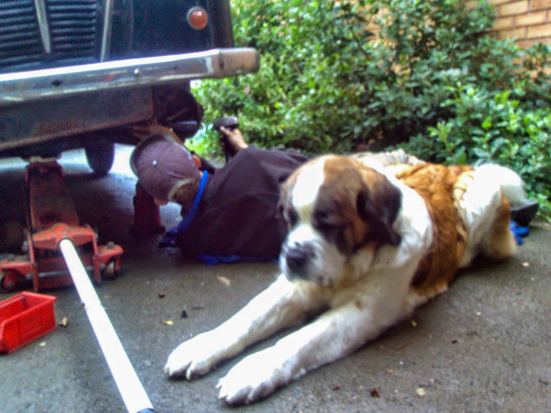 Matt working on Percy with Tinker