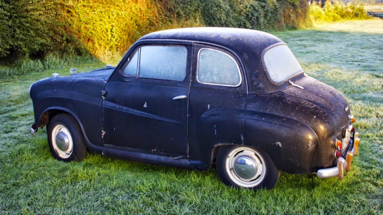 Percy on a frosty morning