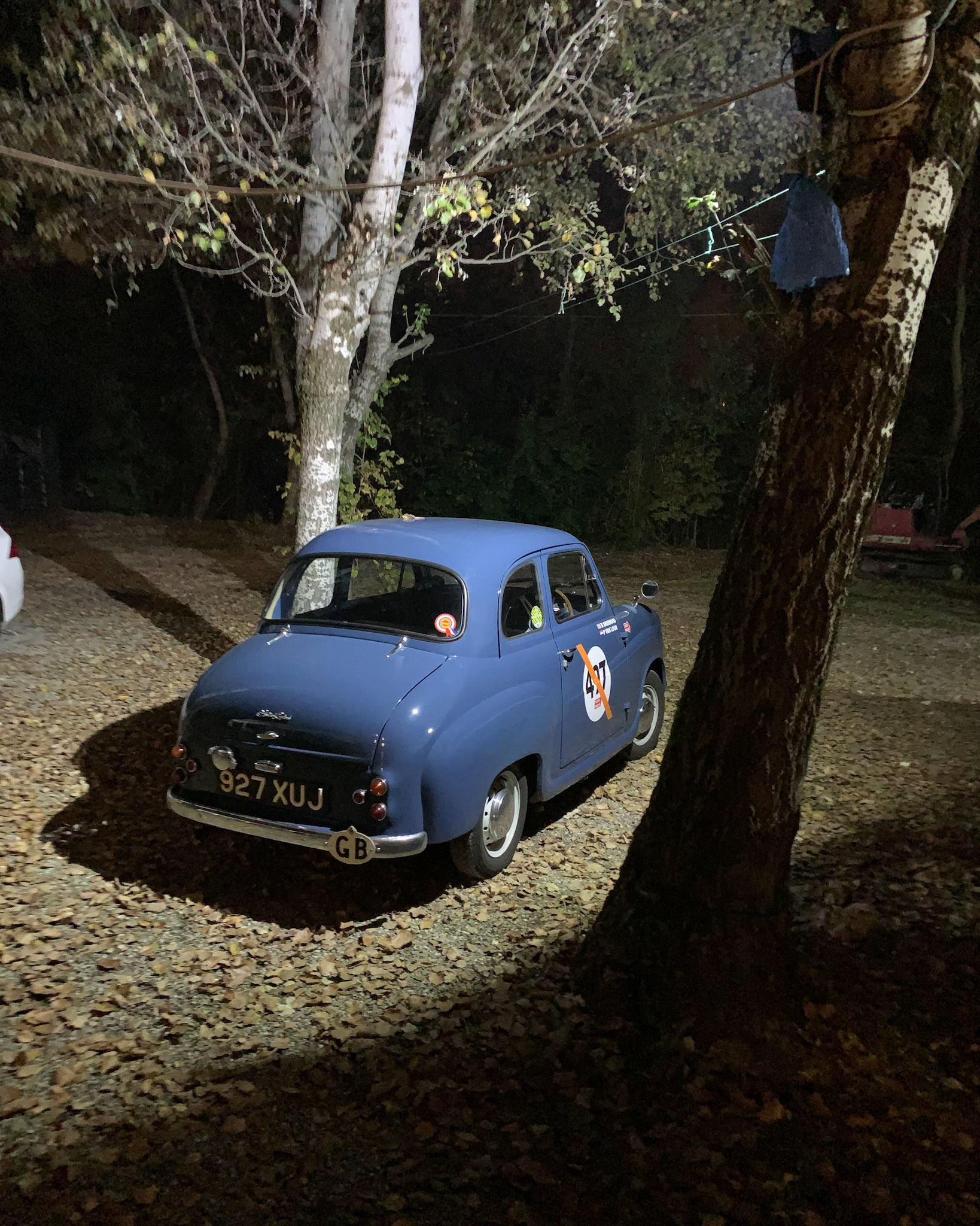 From the Millie Miglia tour 2021