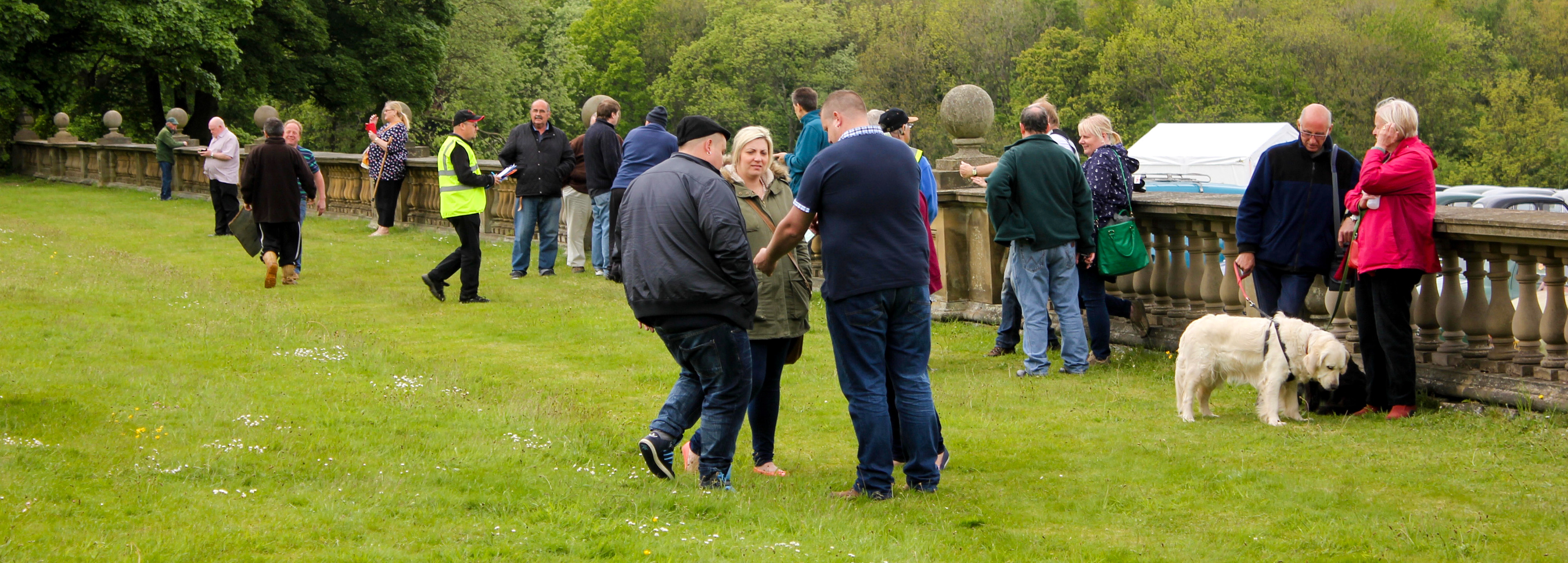 Austin A30-A35 Rally 2015 (Wortley)