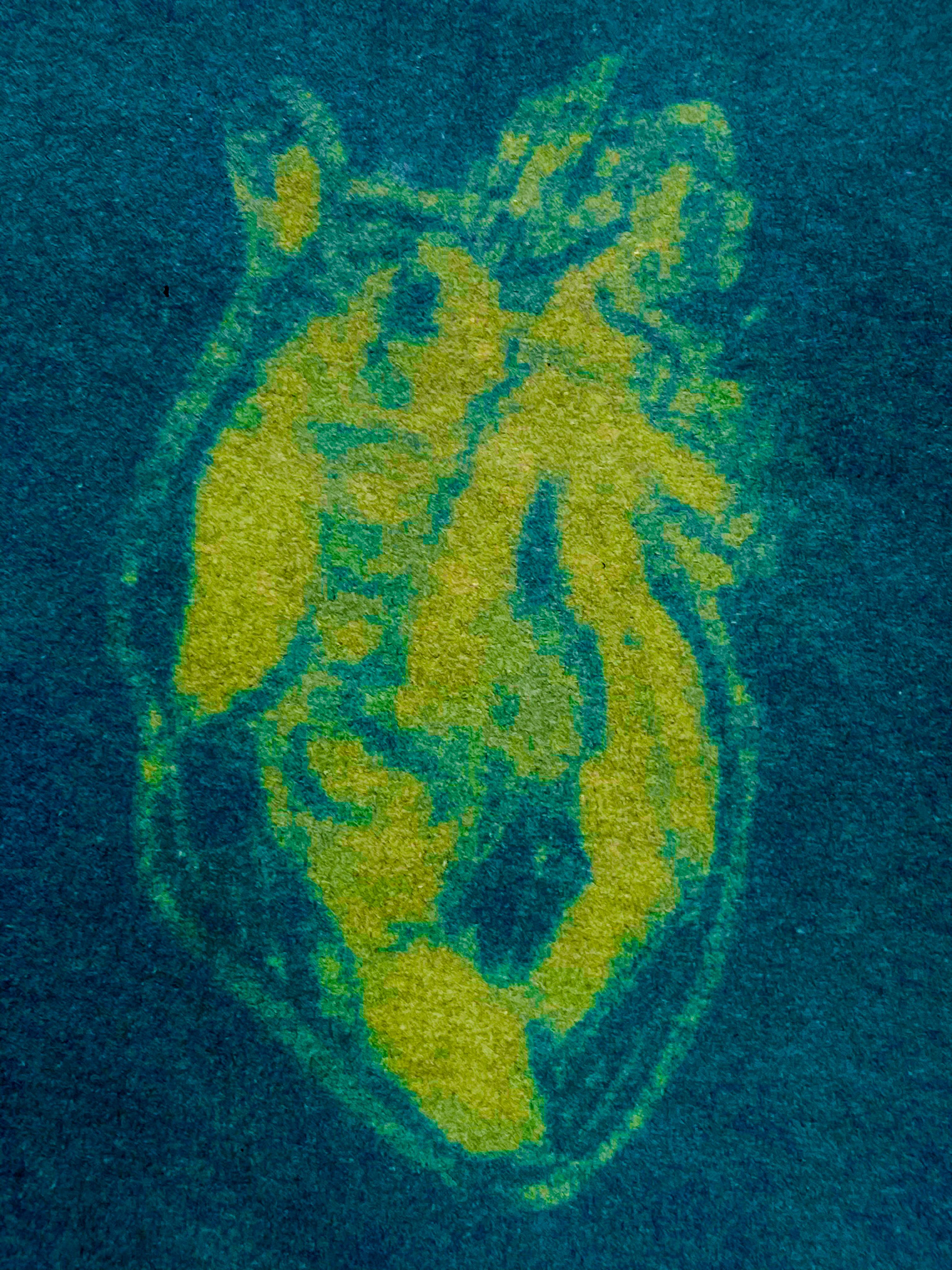 Heavy Weighs the Heart that Beats the Fastest