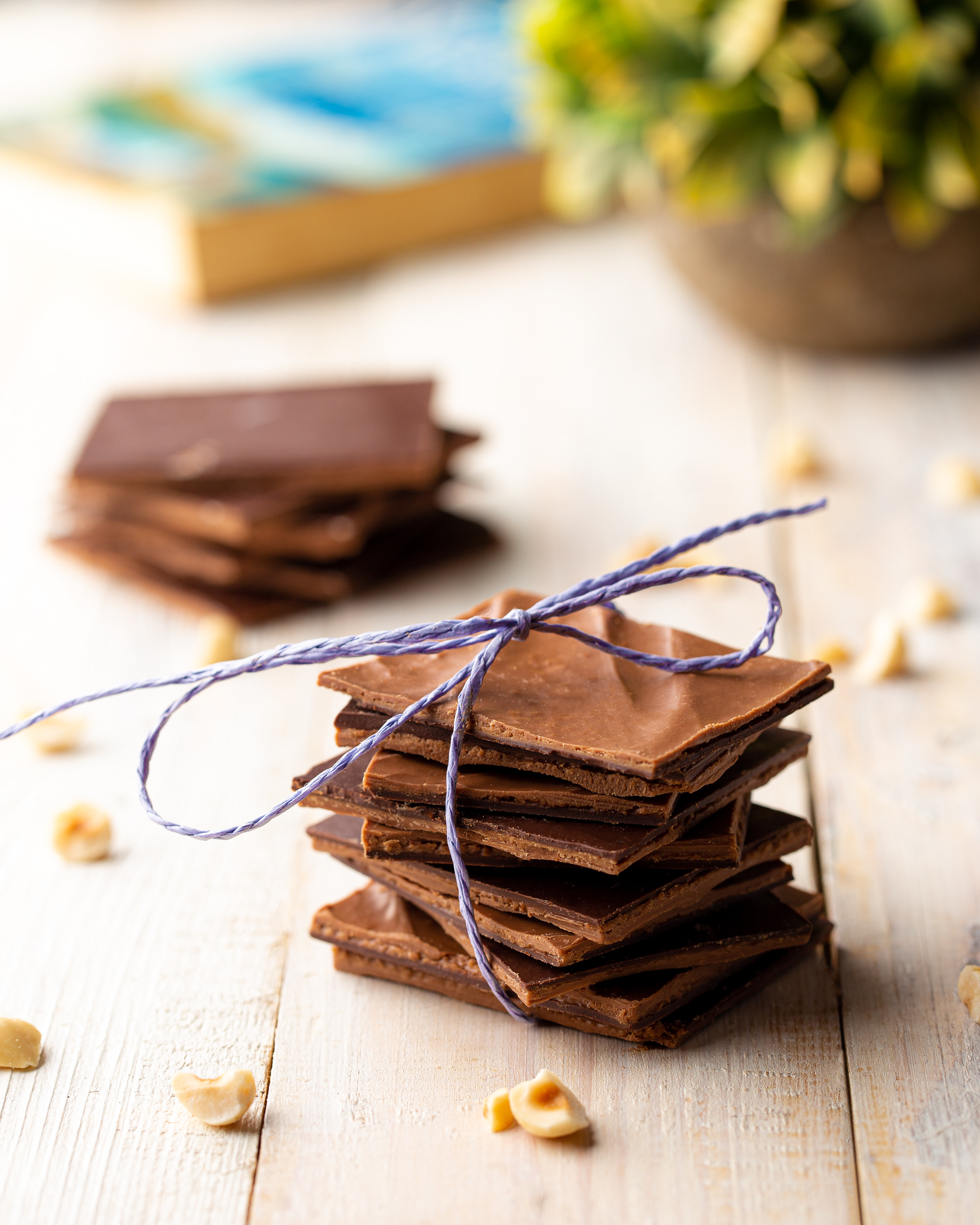 Mimi's Chocolate Workshop