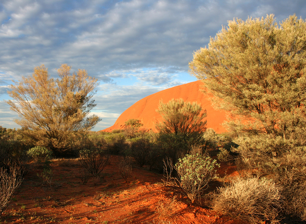 Uluru
