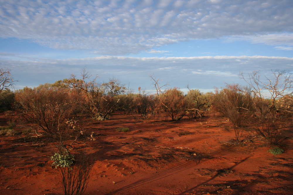 Kata Tjuta