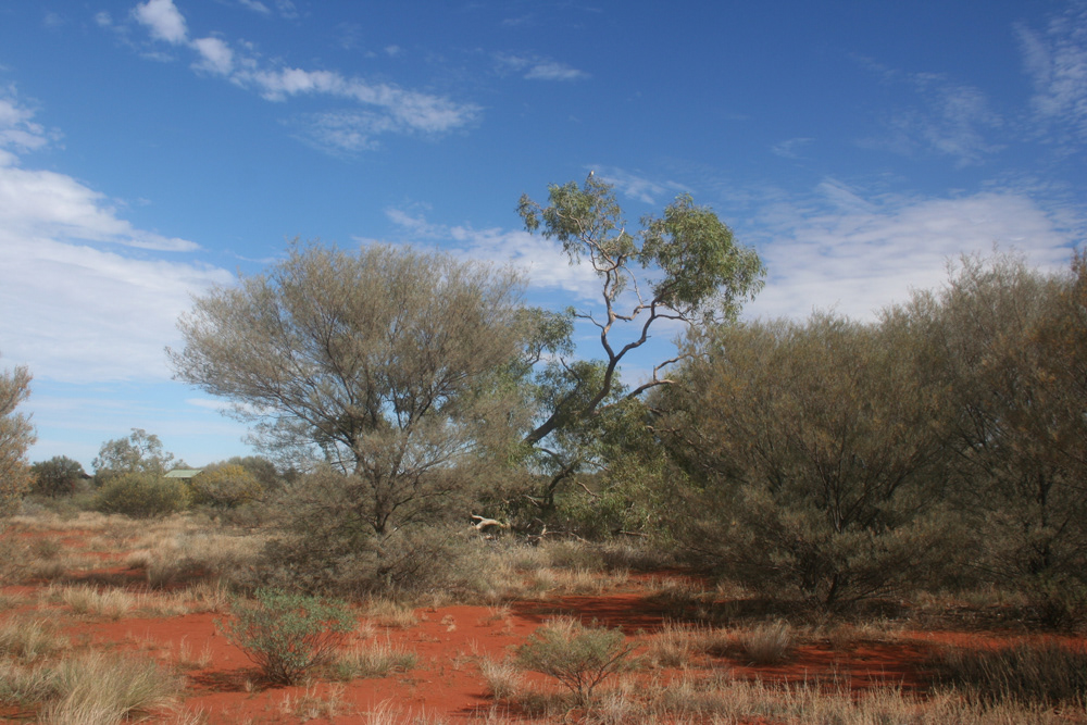 Kata Tjuta
