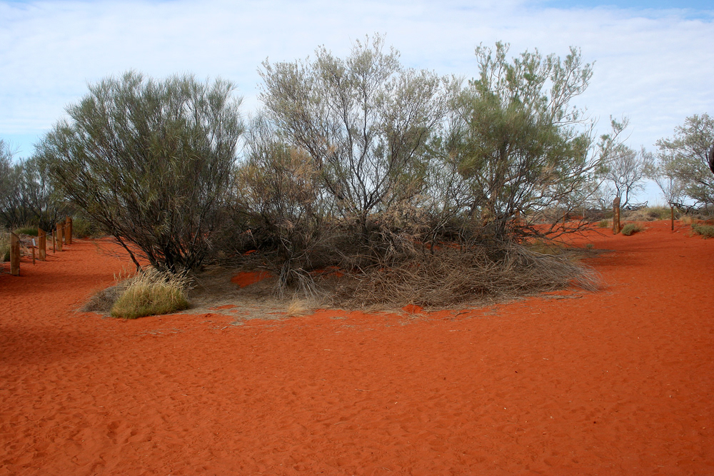 Uluru