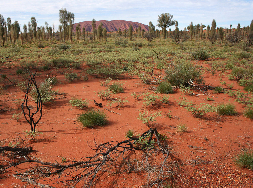 Uluru