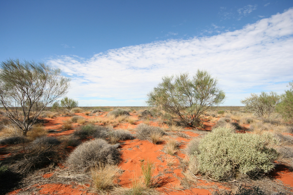 Kata Tjuta