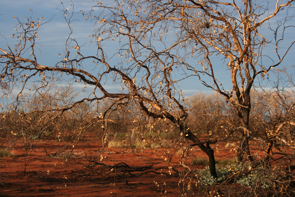 Kata Tjuta