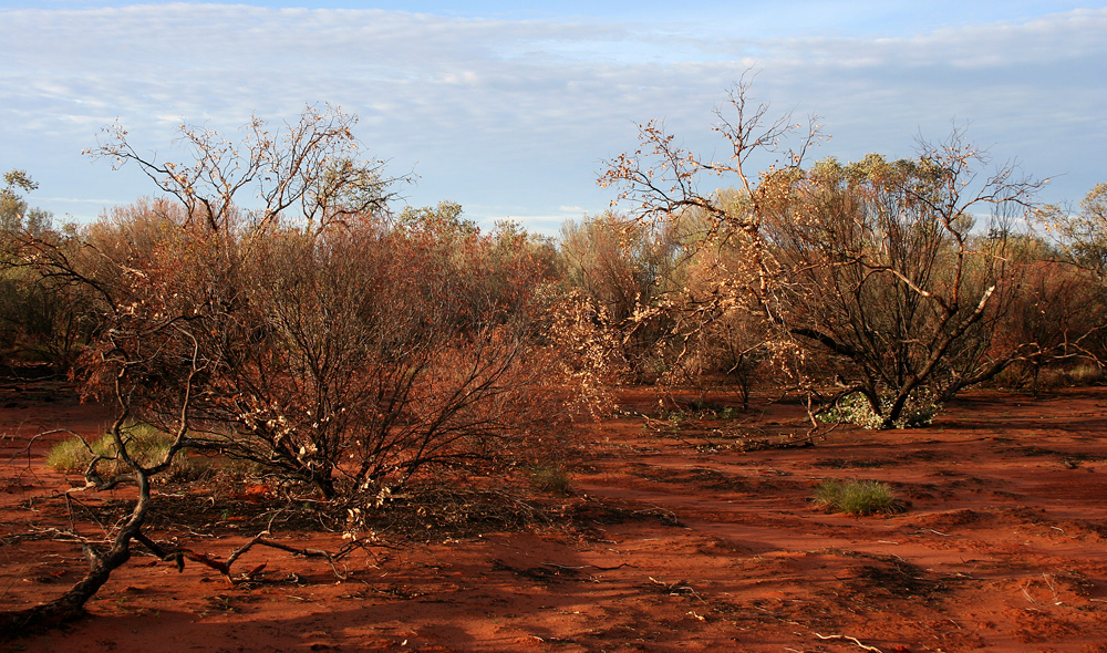 Kata Tjuta