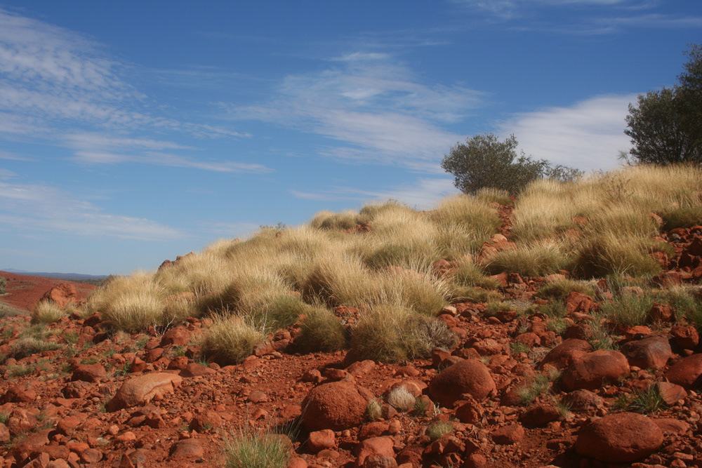 Kata Tjuta
