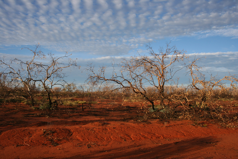 Kata Tjuta