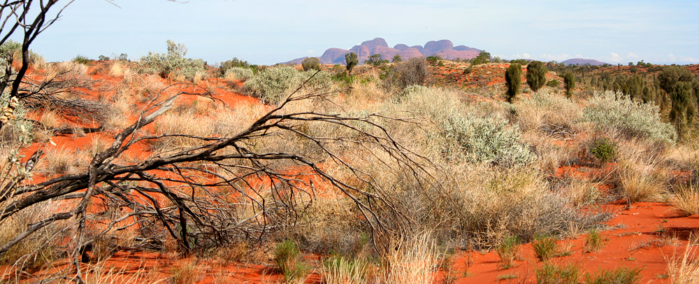 Kata Tjuta