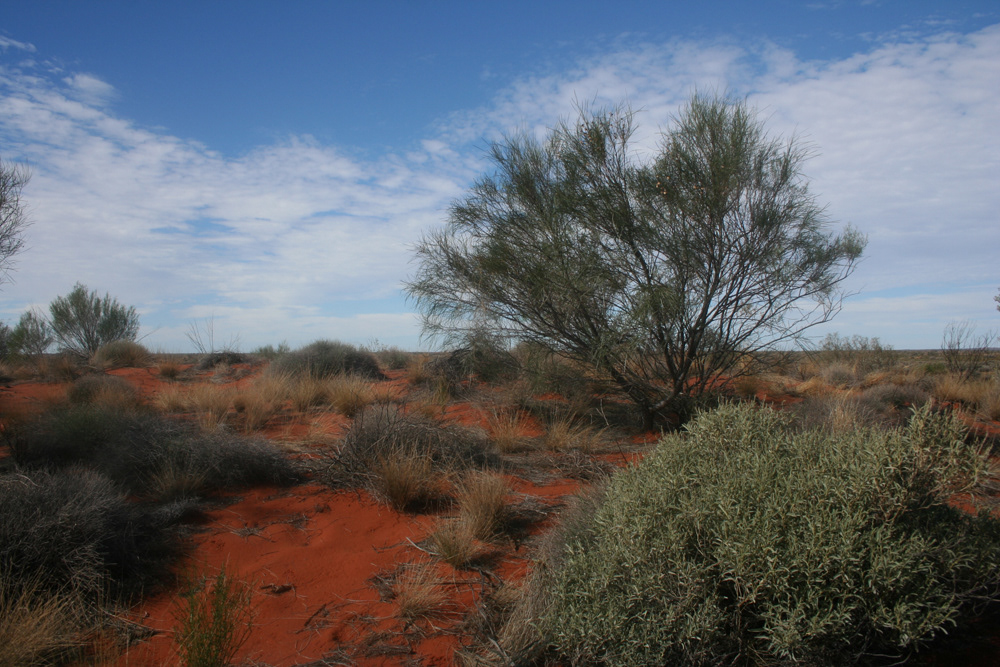 Kata Tjuta