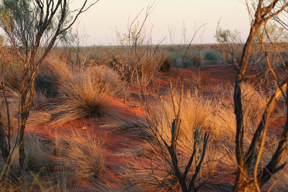 Uluru