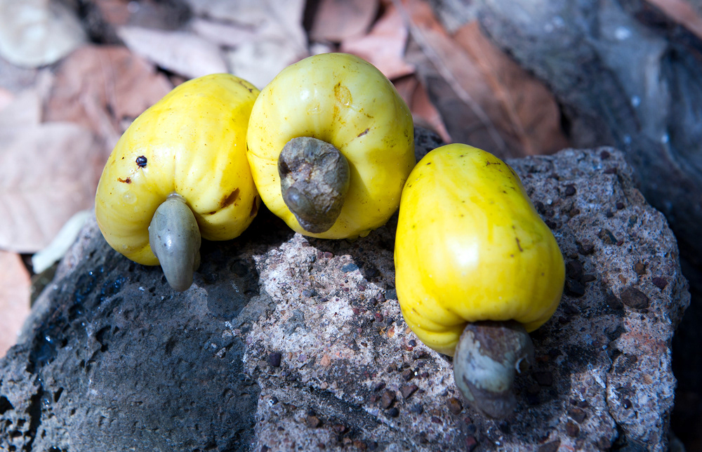 Cashew nuts