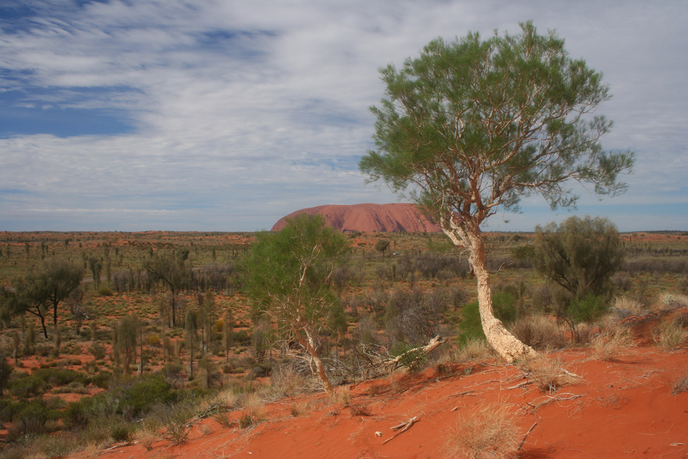 Uluru