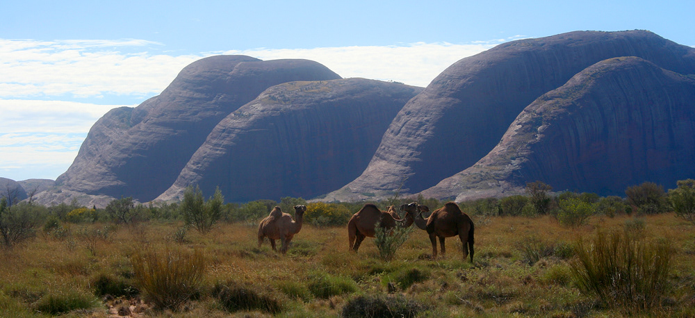 Kata Tjuta