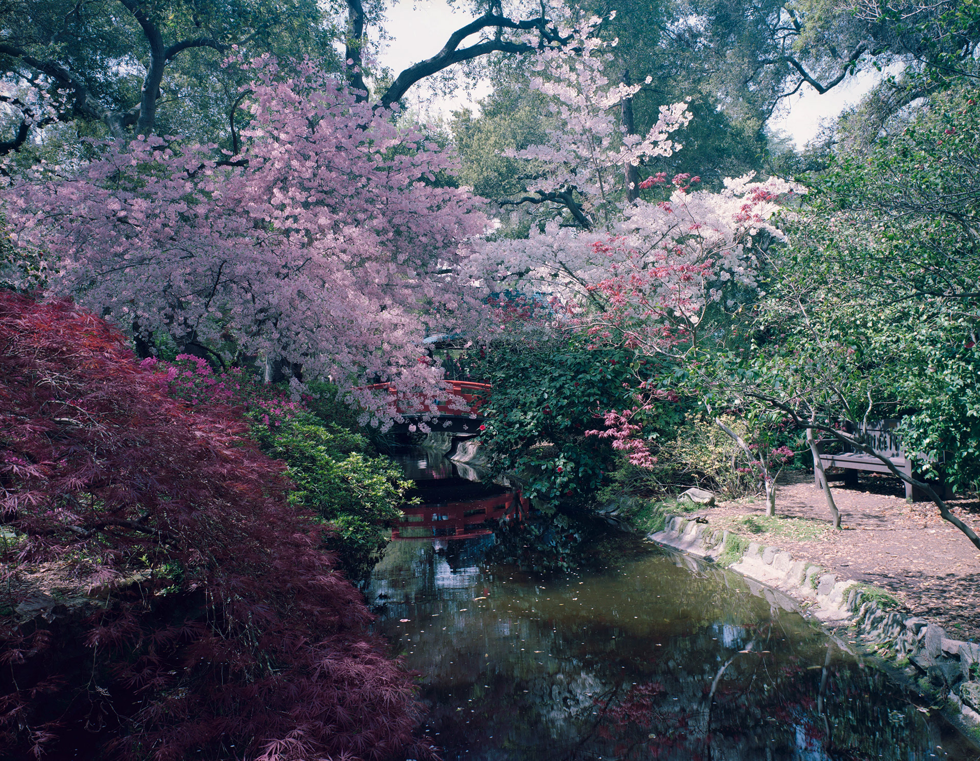 Los Angeles, USA - Kodak Portra 160 4x5