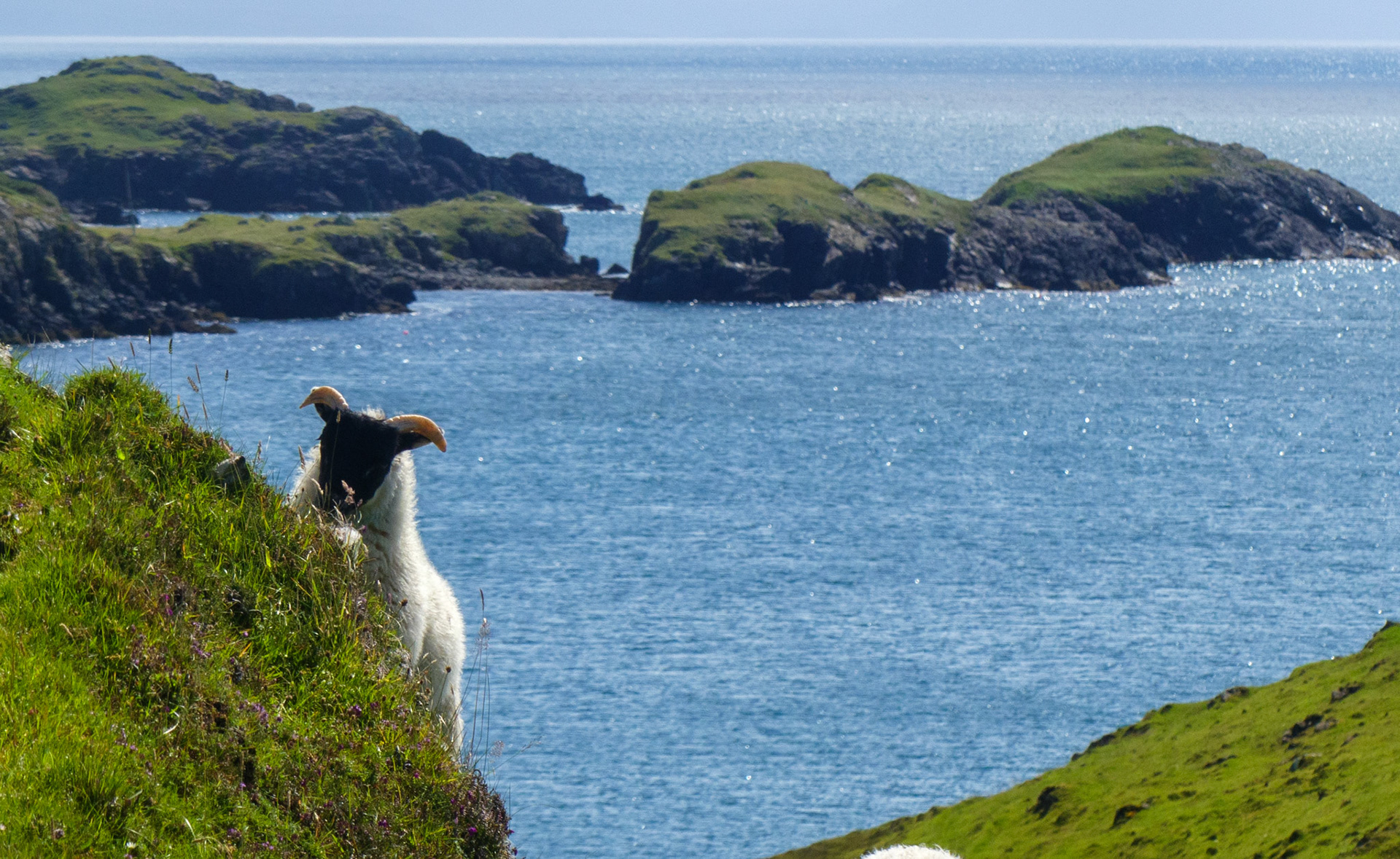 i see ewe