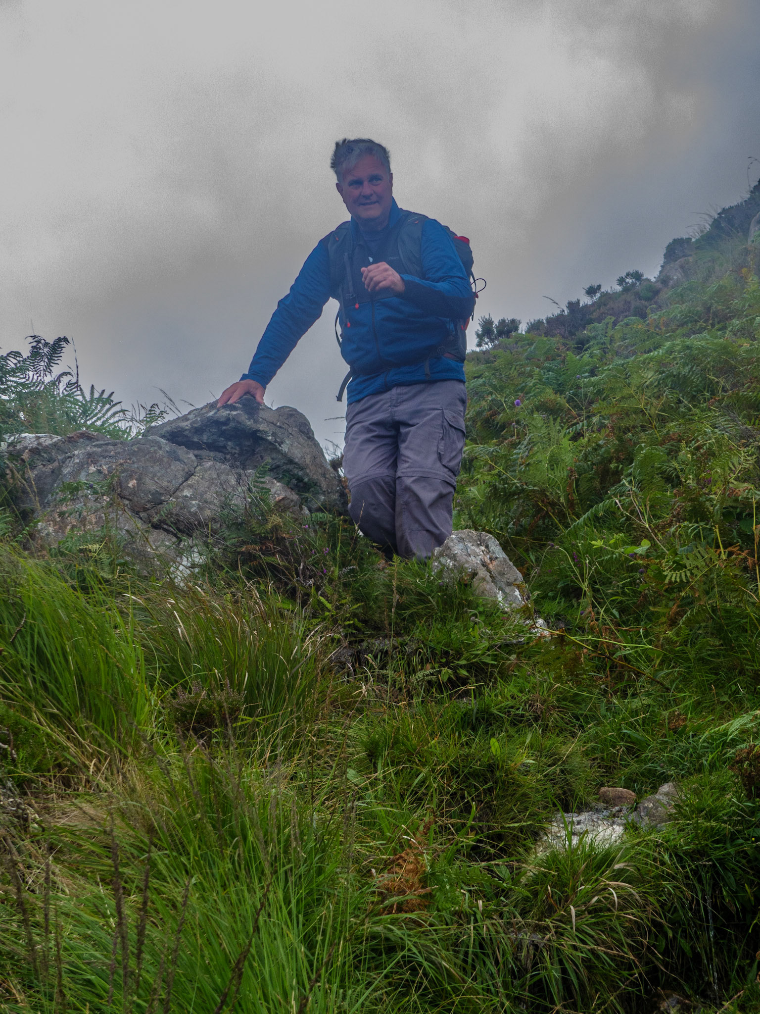 Rona Mountain goat