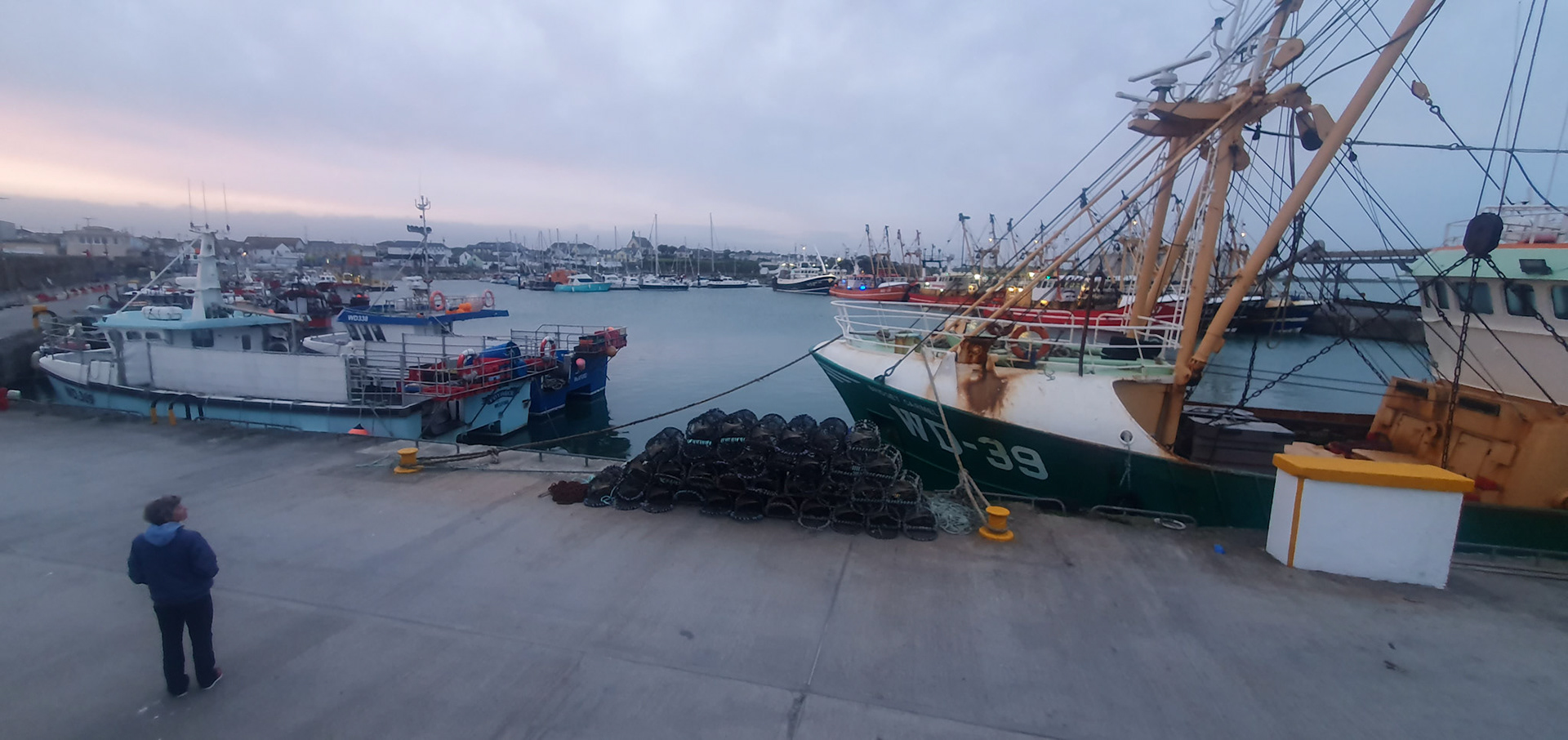 All the fishing boats in port.