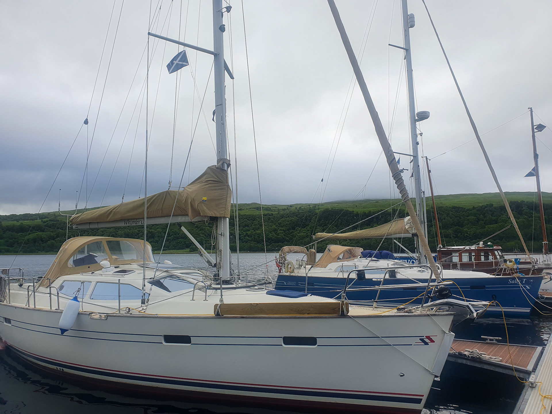 Sally T and Whimbrel