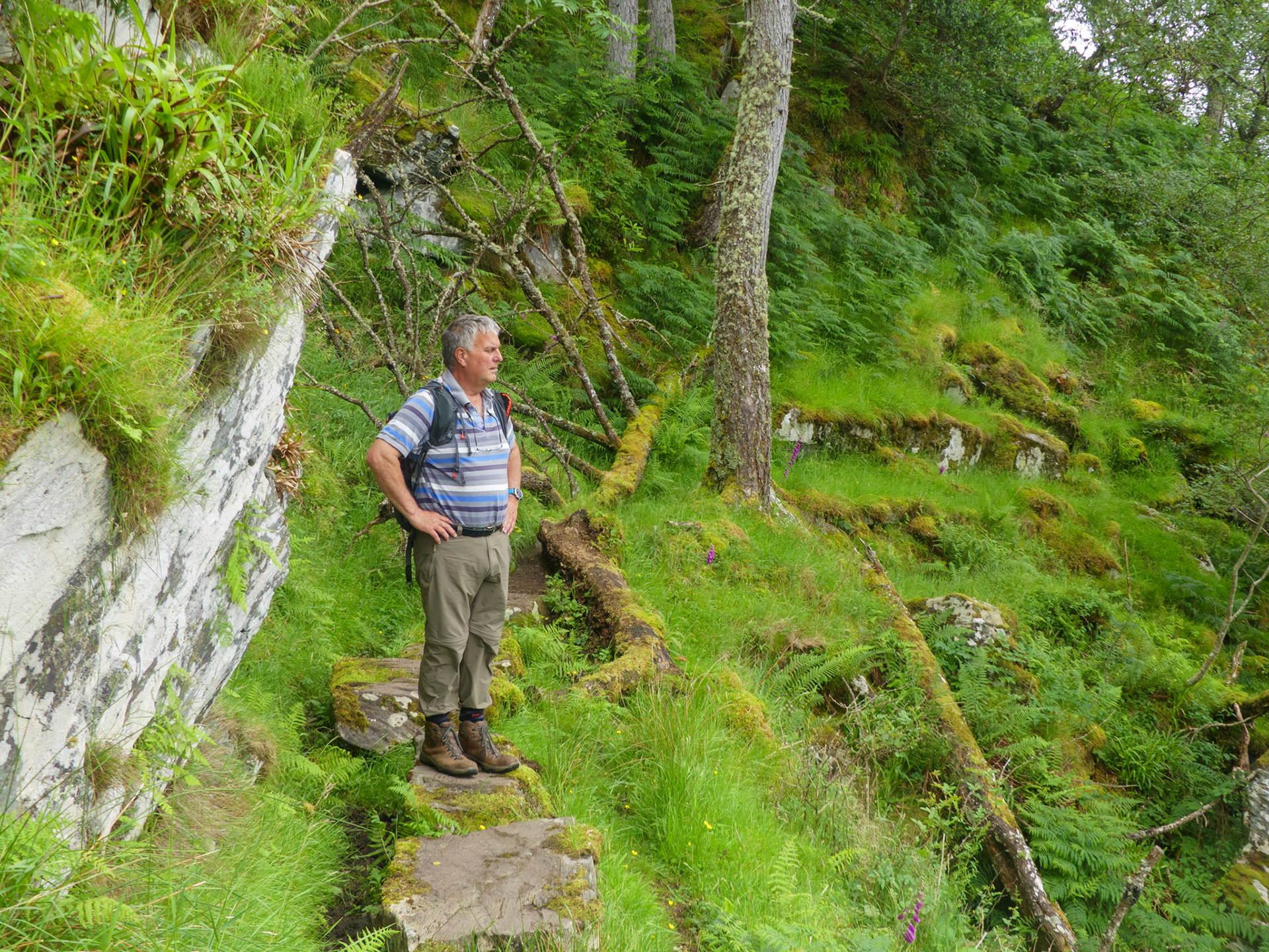 The Silver Path