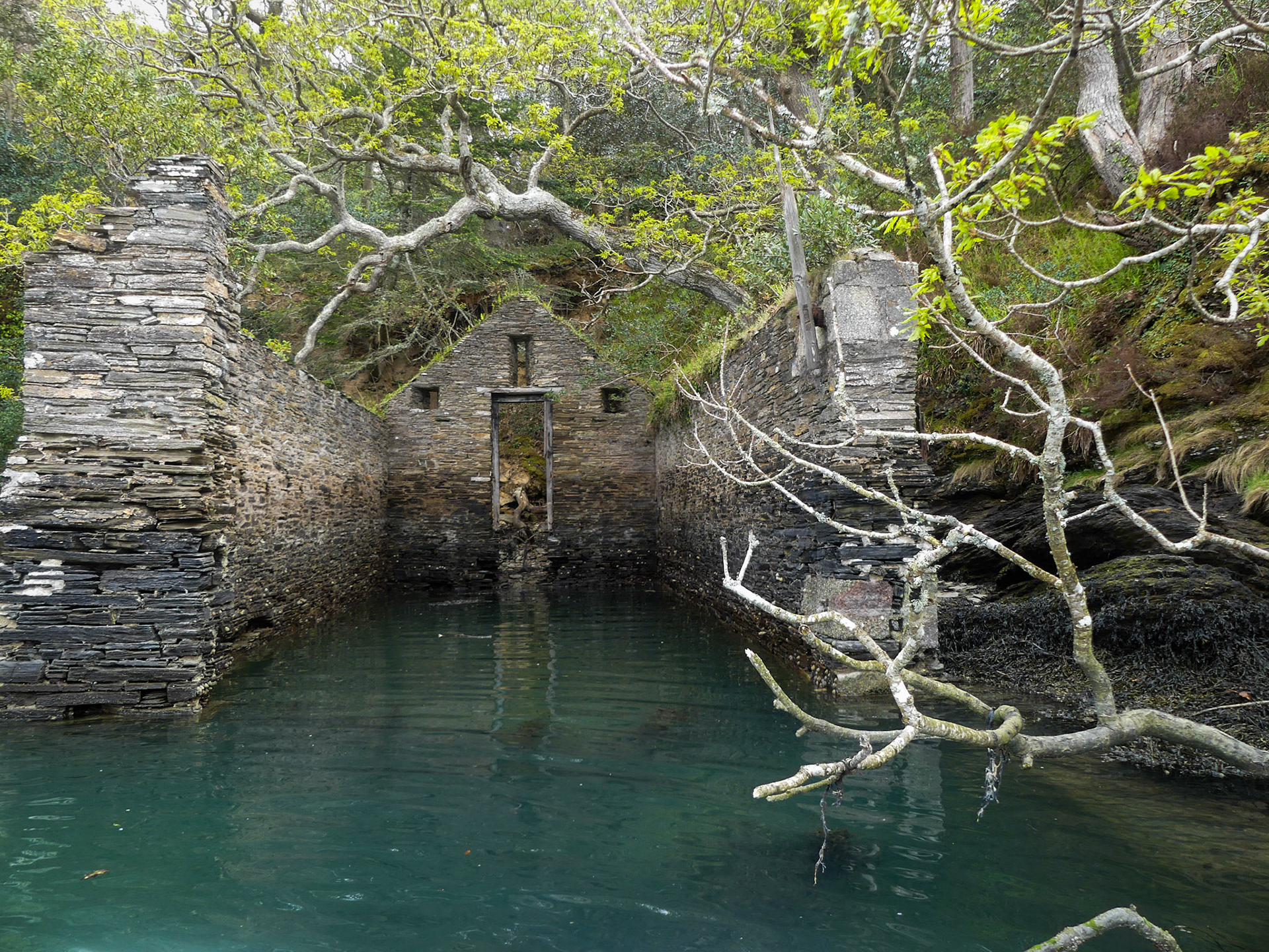 Abandoned Boathouse