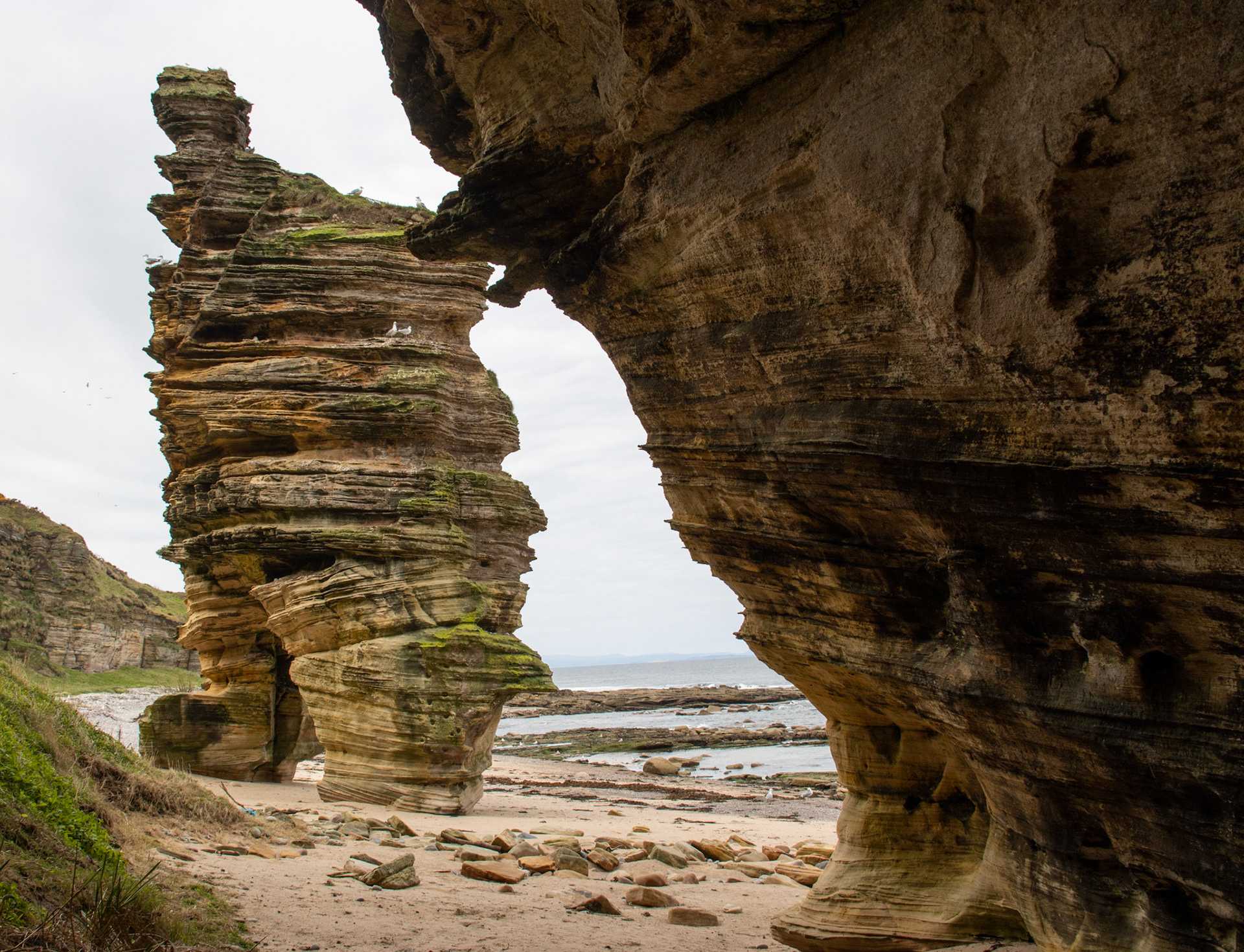 Stacks in the Old Sandstone on the Moray Firth