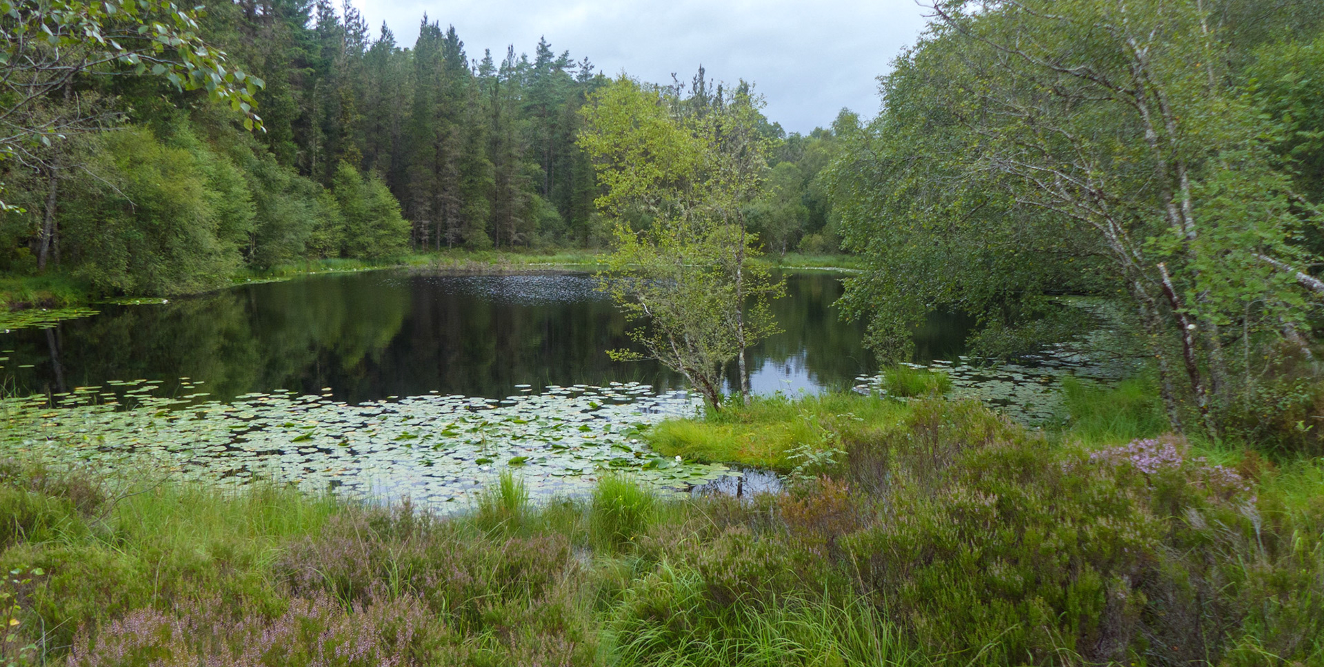 lochen near salen