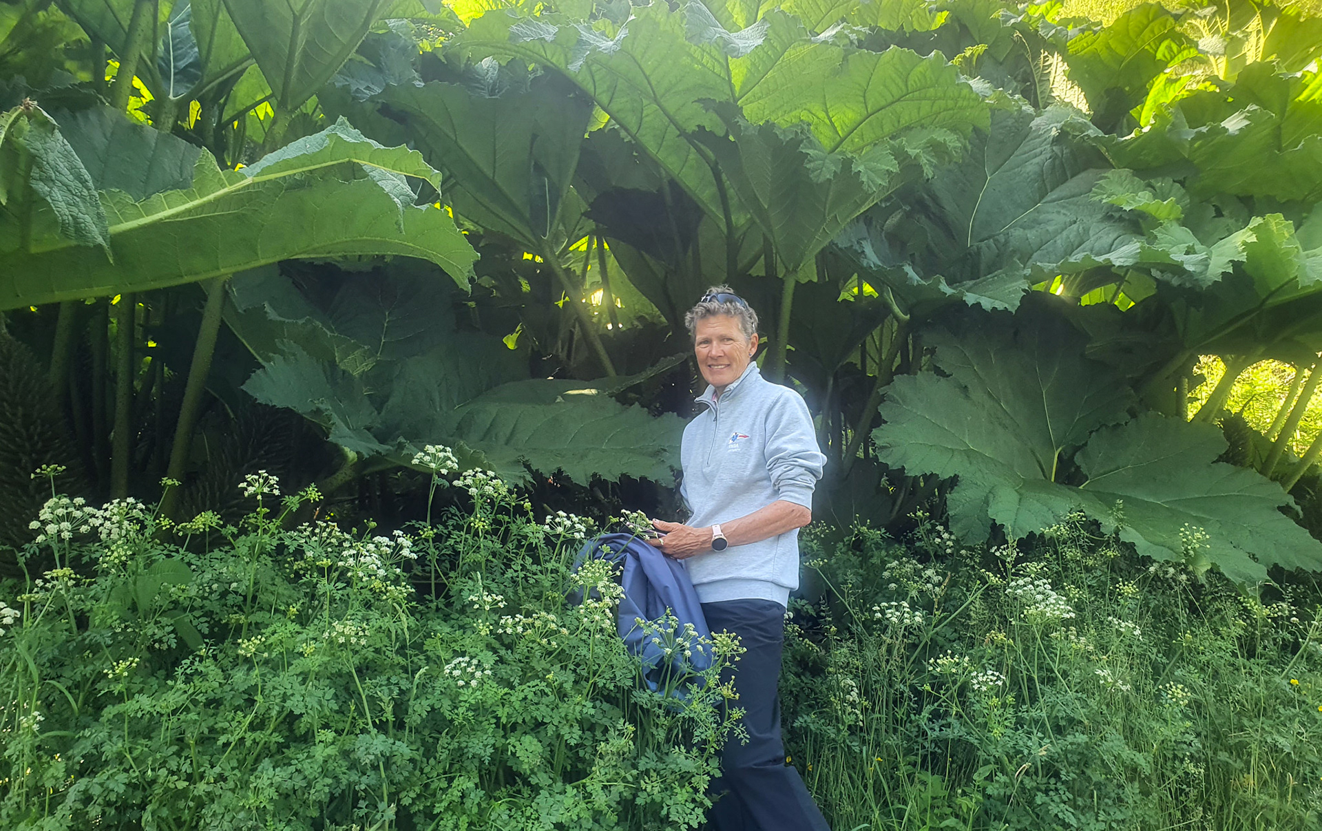 Hiding in the Giant Rhubarb - Gunnera Tinctoria
