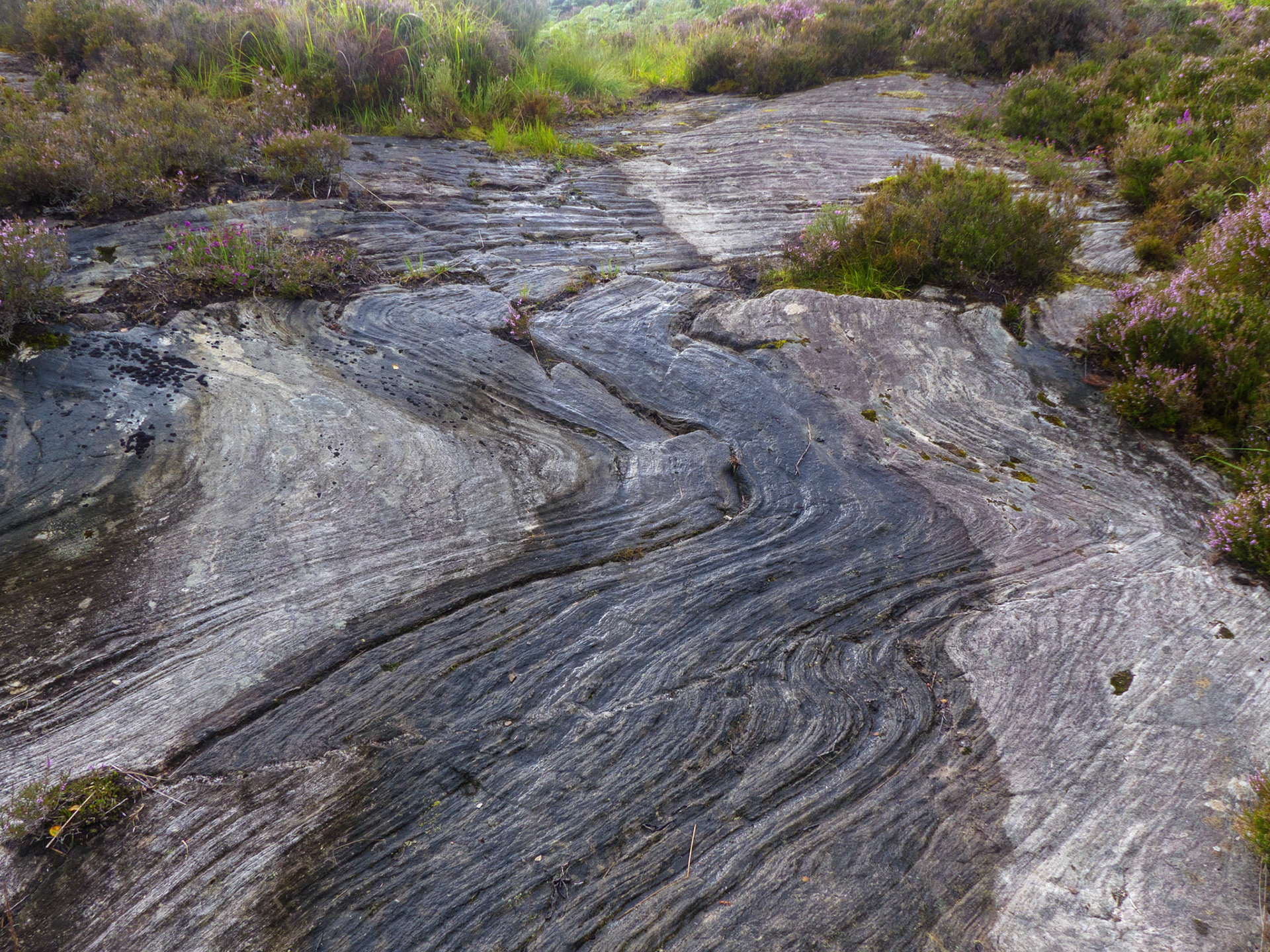 smooth glaciated rock