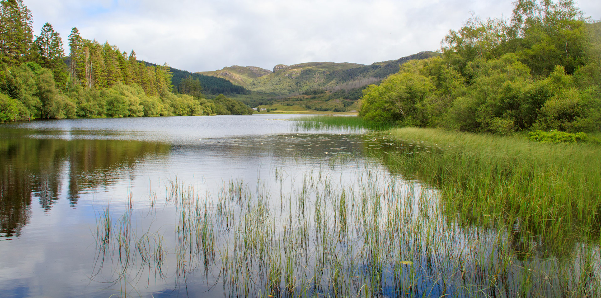 Beautiful walk around from Plockton to balnacara bay on loch alsh