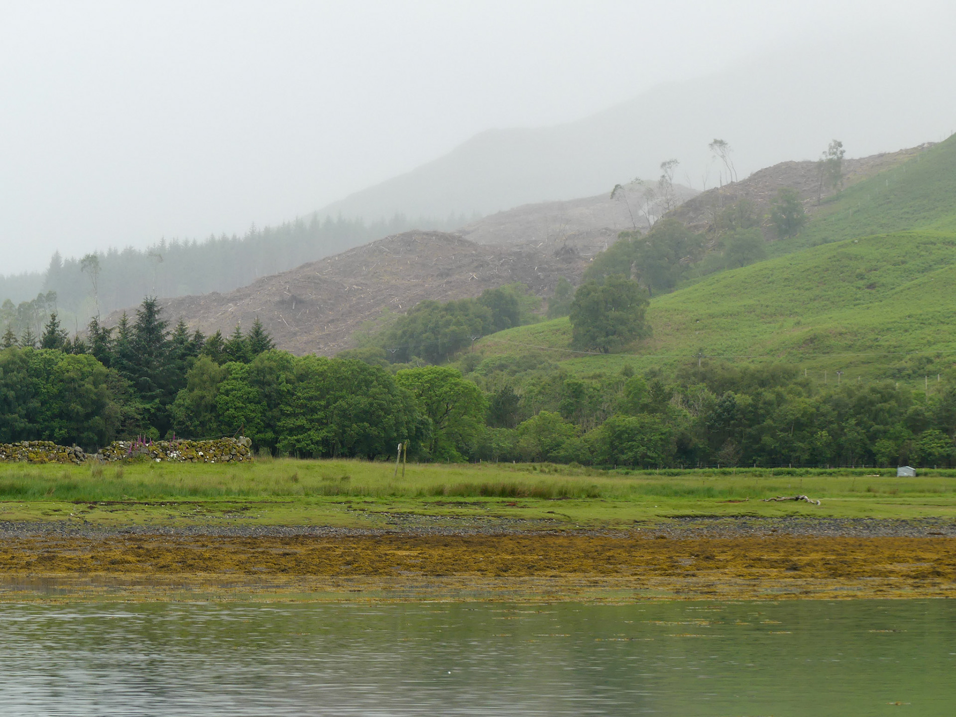 a dreich Scottish summer day