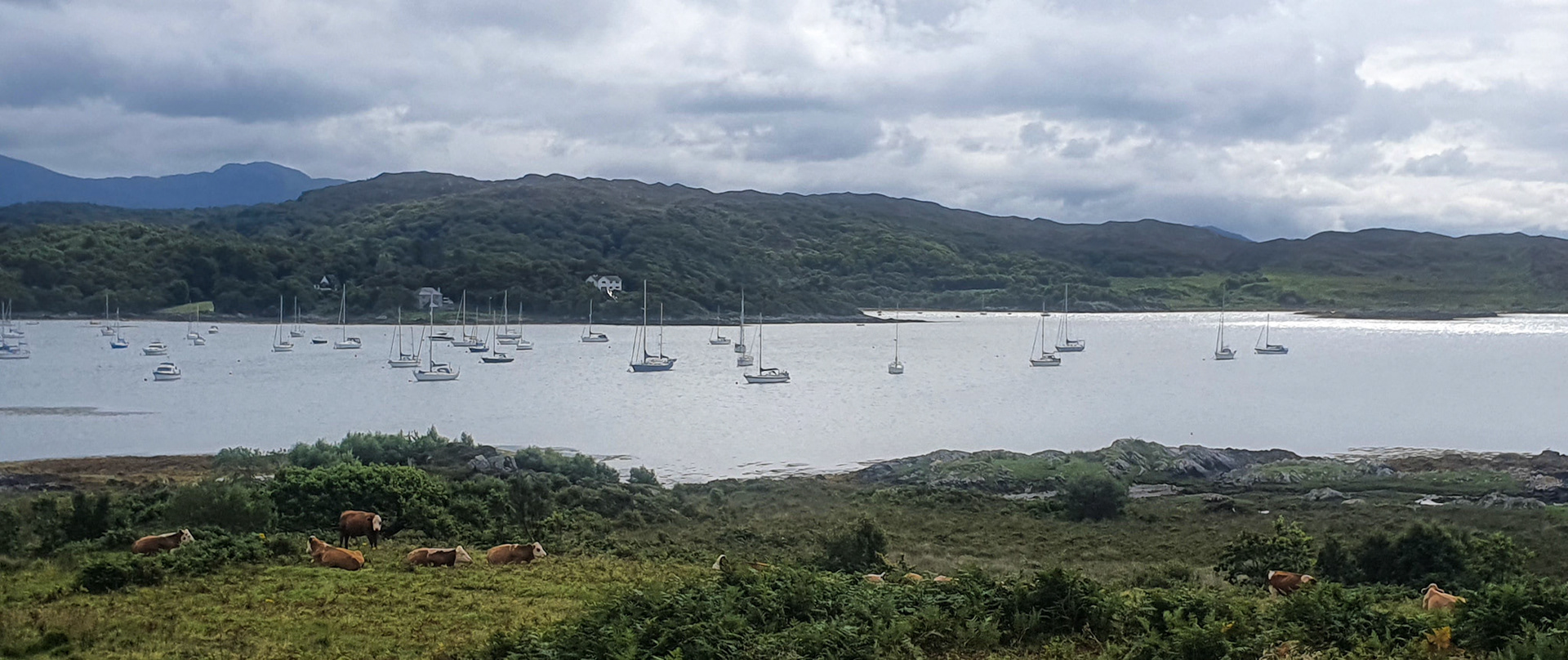 Arisaig harbour