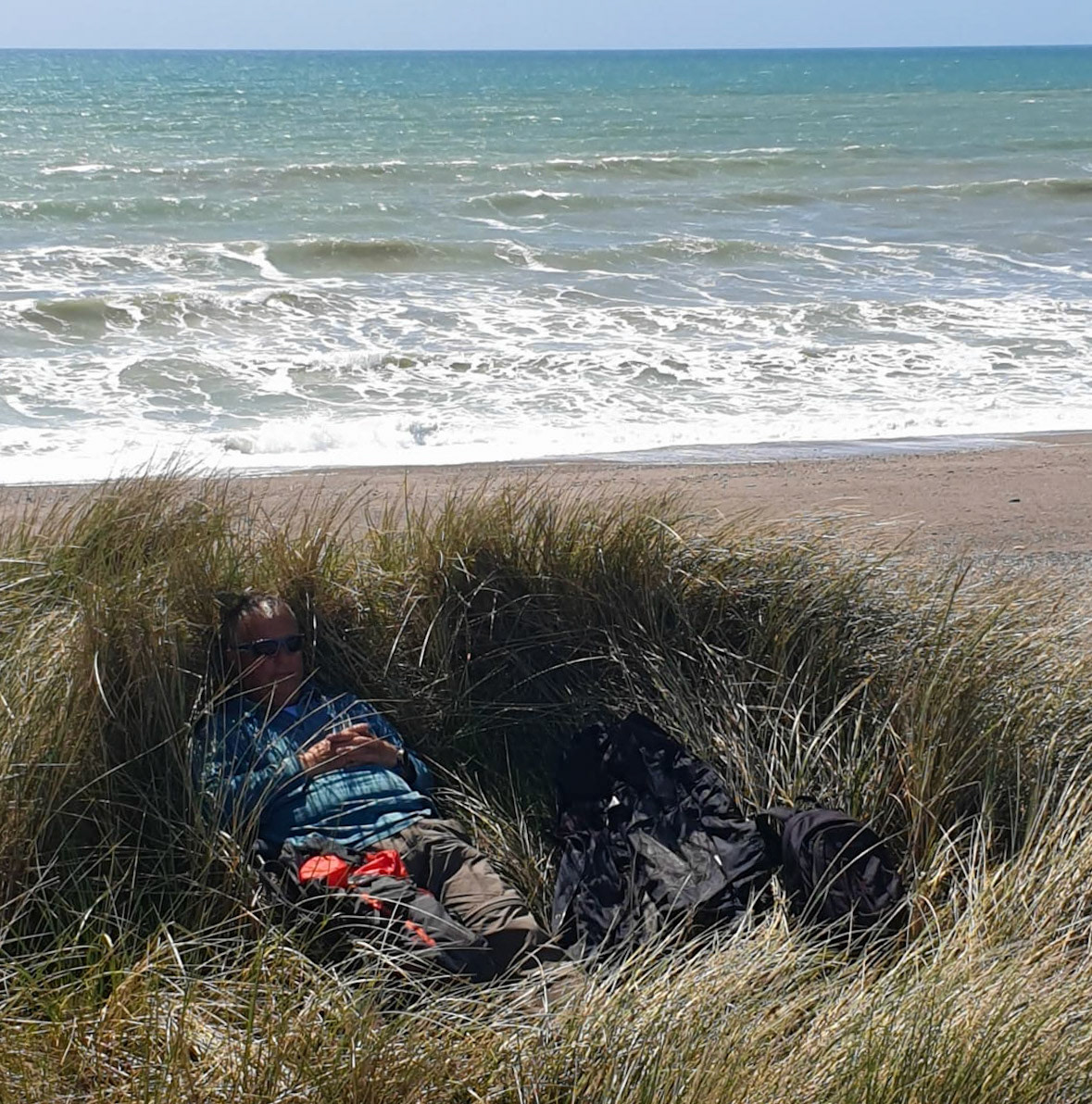 Nesting Hobbit